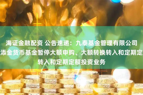 海证金融配资 公告速递：九泰基金管理有限公司关于九泰日添金货币基金暂停大额申购、大额转换转入和定期定额投资业务