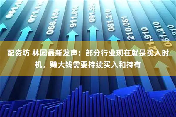 配资坊 林园最新发声：部分行业现在就是买入时机，赚大钱需要持续买入和持有