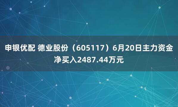 申银优配 德业股份（605117）6月20日主力资金净买入2487.44万元