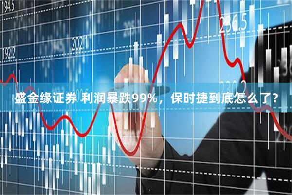 盛金缘证券 利润暴跌99%，保时捷到底怎么了？