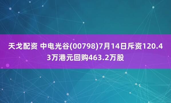 天戈配资 中电光谷(00798)7月14日斥资120.43万港元回购463.2万股