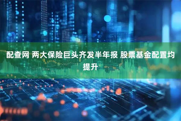配查网 两大保险巨头齐发半年报 股票基金配置均提升