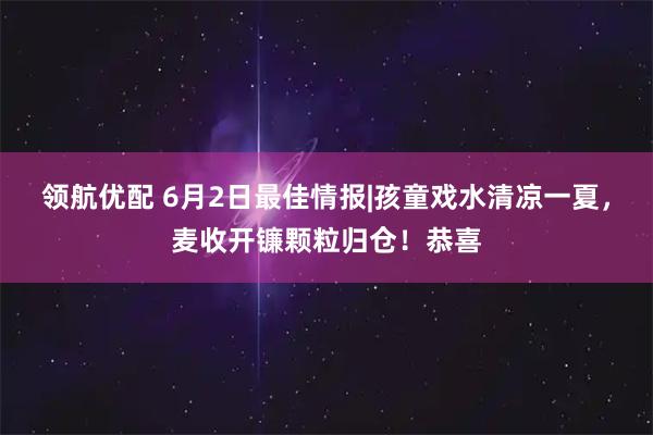 领航优配 6月2日最佳情报|孩童戏水清凉一夏，麦收开镰颗粒归仓！恭喜