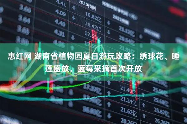 惠红网 湖南省植物园夏日游玩攻略：绣球花、睡莲盛放，蓝莓采摘首次开放